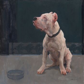 Jonge Argentijnse Dog by Pieter Pander