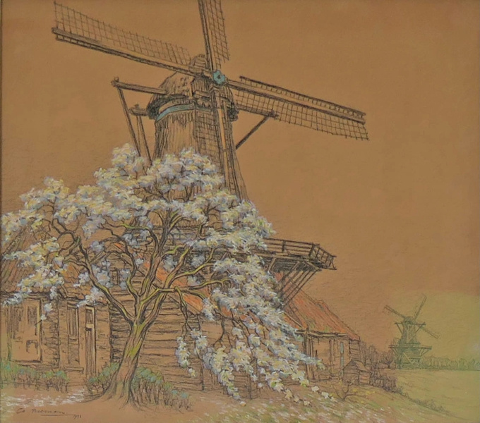  Molen de Passiebloem te Zwolle by Co Breman