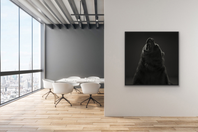 Kodiak Bear #2, American West by Dean West