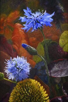 Zonnehoed by Dina Belga
