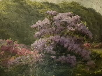 Bloeiende Rhododendronstruik, Villa la Costa by Henri Privat Livemont