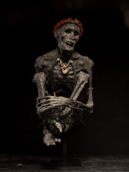 Sculptured model of a smoked Papua Mummie, papier mâché, 20th C by Artiste Inconnu