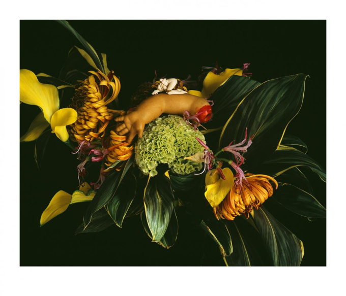 MONSTROUS PARADISE #113 by Nobuyoshi Araki (荒木経惟)
