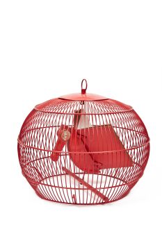 Jaula Roja by Miquel Aparici