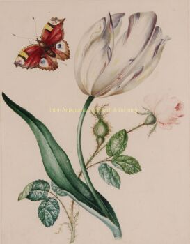 Tulip with rose and butterfly by James Holland