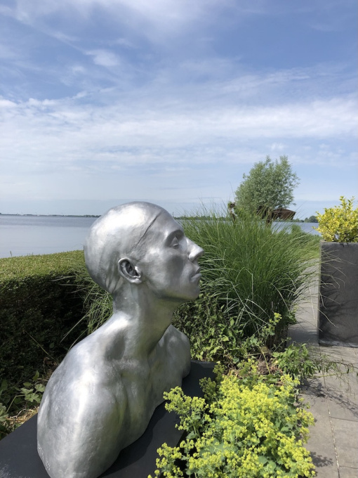 The Swimmer (APIII) by Coderch and Malavia