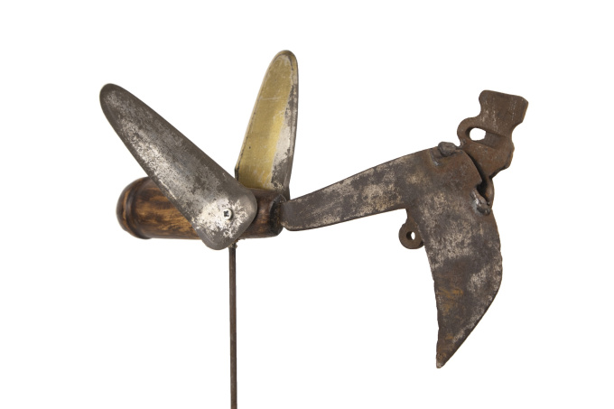 Pájaro Pequeño by Miquel Aparici