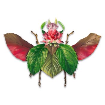 Beetle leafs by Studio Giftig
