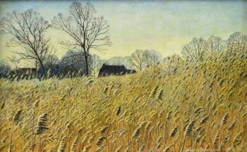 Achter 't riet by Drago Pecenica