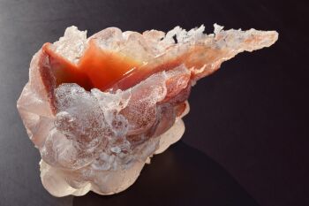 NT by Anjeliek Blaauw