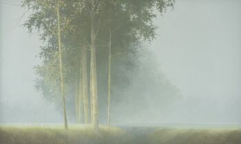 Mist by Johan Abeling