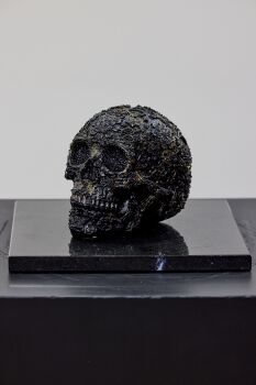 Flower skull Black Diamond by Angela Gomes