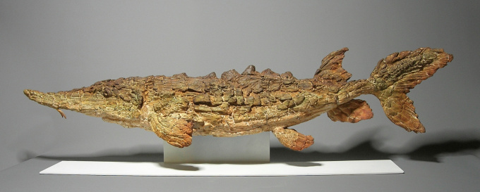 Sturgeon by Pieter Vanden Daele