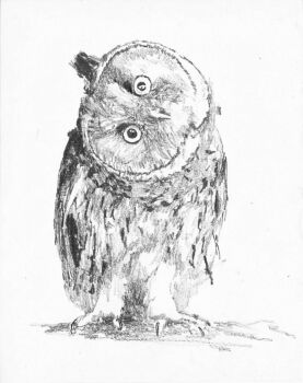Untitled by Stefan à Wengen