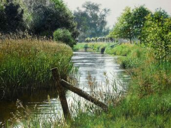 't Is Zomer by Walter Elst