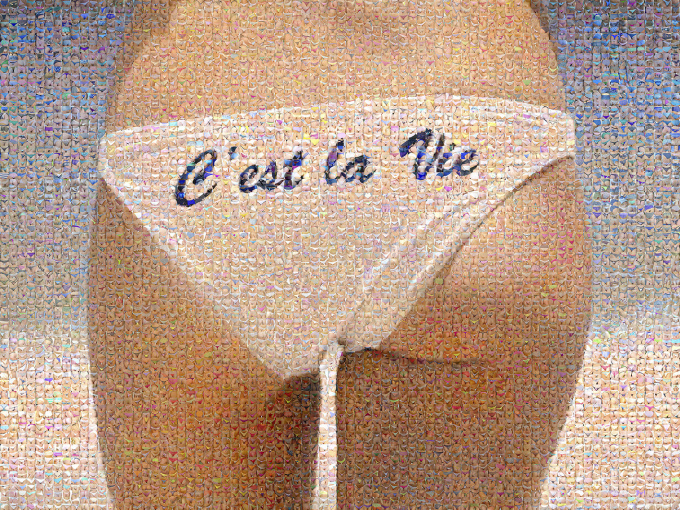 C’est La Vie by Joël Moens de Hase