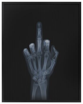 Flippin the Bird (Edition of 25) by Nick Veasey