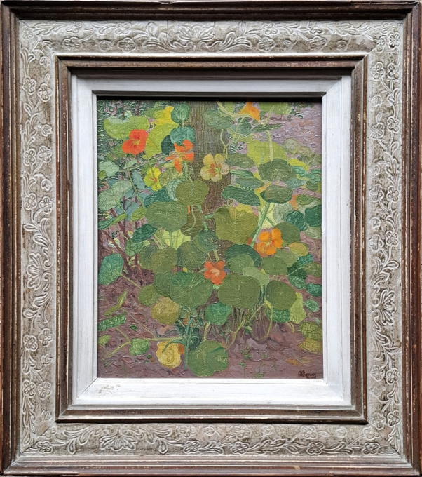 Oost-Indische kers (Tropaeolum majus) by Albert Hemelman