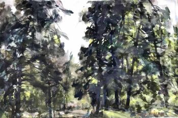 Forest by Wanqi Zhang