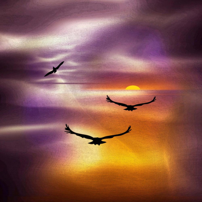 Birds by Dominique Landau