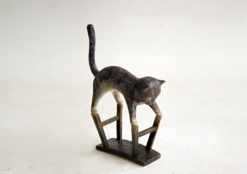 'Animal Master-Cat' by Ruo Zhang
