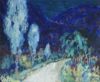 Haute Savoie bij heldere sterrennacht by Jan Altink
