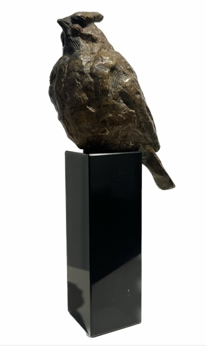 Pestvogel by Henri Poppelaars