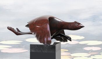 Opvliegende meerkoet by Evert den Hartog