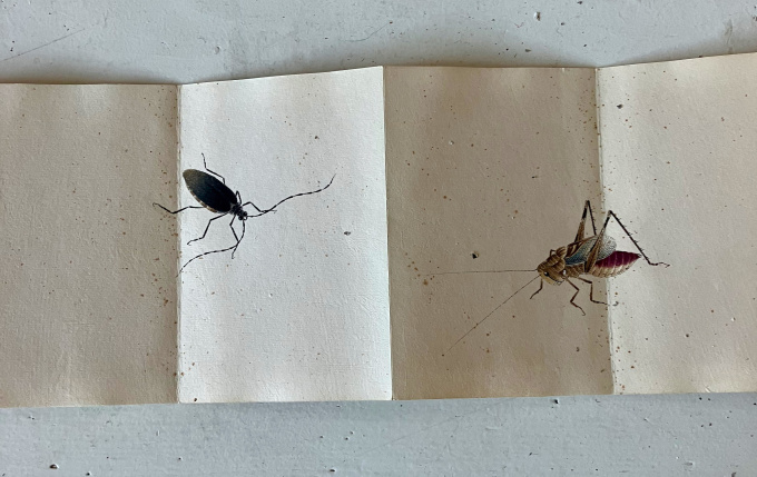 'Insects' by Qi Baishi