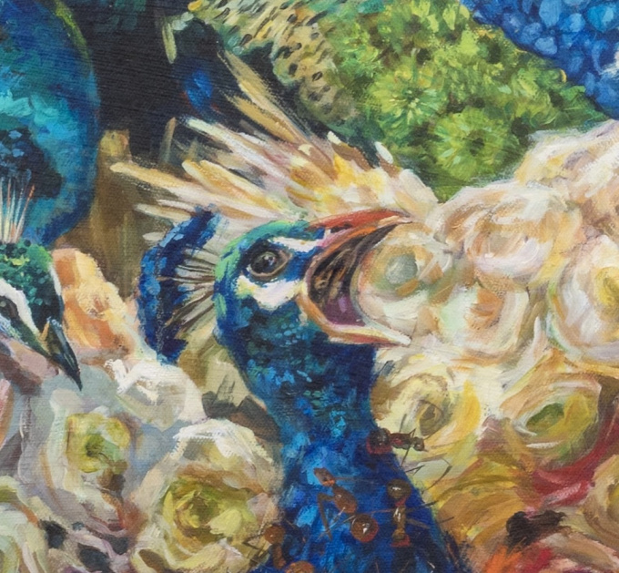 Lost with Peacocks by Augustina Droze