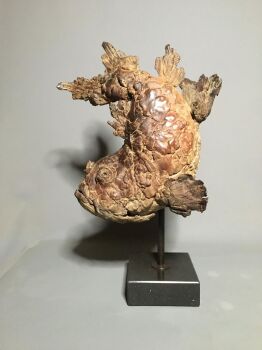 Vedastus by Pieter Vanden Daele