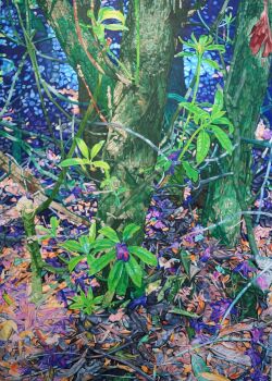 Rododendron 2 by Nora Tholhuijsen