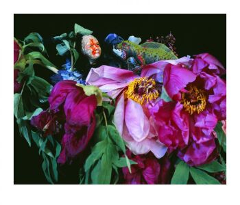 MONSTROUS PARADISE #187 by Nobuyoshi Araki (荒木経惟)
