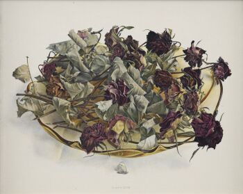 Schaal met rode rozen by Chris Herenius