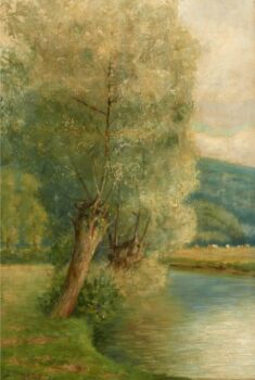 Les saules têtards au bord de la rivière by David Oyens