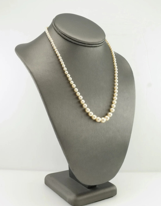 Graduated White Saltwater Akoya Pearl 14K Gold Necklace by Its My Gemme