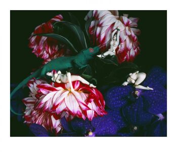 MONSTROUS PARADISE #184 by Nobuyoshi Araki (荒木経惟)