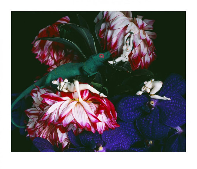 MONSTROUS PARADISE #184 by Nobuyoshi Araki (荒木経惟)