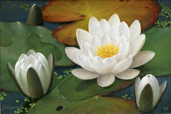 water lilies by Jan Voerman jr