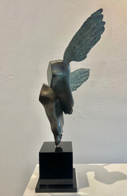 Snelvoetig by Margot Homan