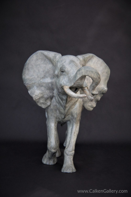 Elephant by Gill Parker