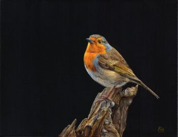 Roodborstje by Ria Koreman