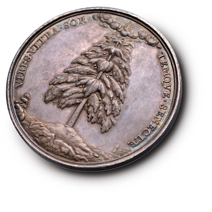 Trompe l’oeil and bronze and silver medal of Dr. Nicolaes Tulp, mayor of Amsterdam, by Antonina Houbraken by Unbekannter Künstler