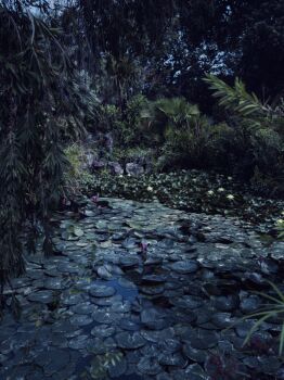 Awakenings, Italy 2022 by Tina Trumpp