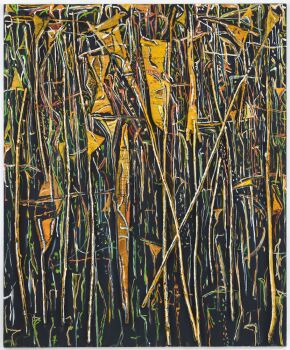 Rainforest by Theo Kuijpers