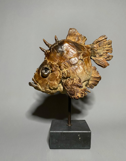 Johnny by Pieter Vanden Daele