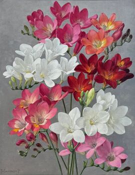 Fresia's by Jan Voerman jr
