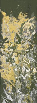Solidago by Mirian Jacobs