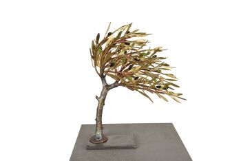 Olijfboom In de Wind by Angelos Panayotidis