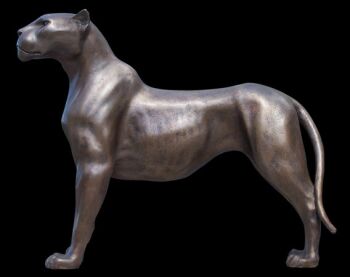 Jaguar Staand  by Chris Tap